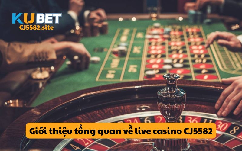 Giới thiệu tổng quan về live casino CJ5582